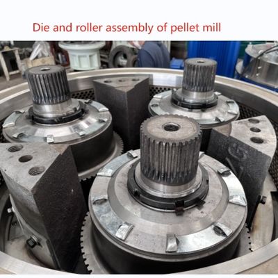 Assemblage de rouleaux de pièces détachées de la machine à granulés de couleur standard