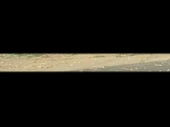 Electric Wood Chipper Machine Automatic Feeding Industrial Wood Shredder